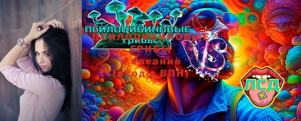 бутират Баксан